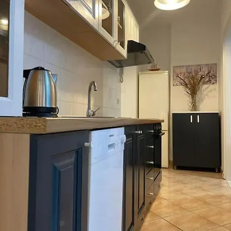 Διαμέρισμα Attila *